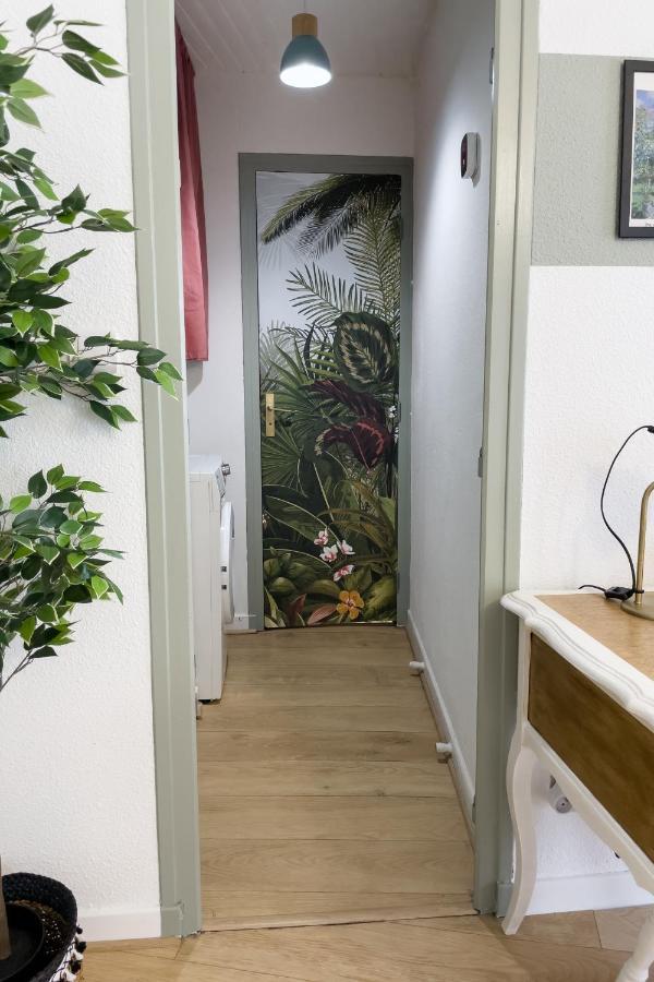 Appartement Lumineux 1 Chambre Hypercentre Place St Jean Valence  Zewnętrze zdjęcie